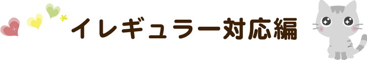 運送業、引越し会社様向けのお手伝い