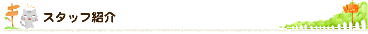 スタッフ紹介